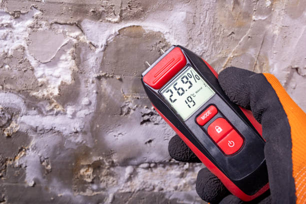 Reliable Tanaina, AK Mold Removal Solutions